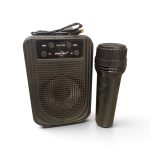 Mini Portable Wireless Karaoke Speaker with Handheld Microphone (GTS-2158)